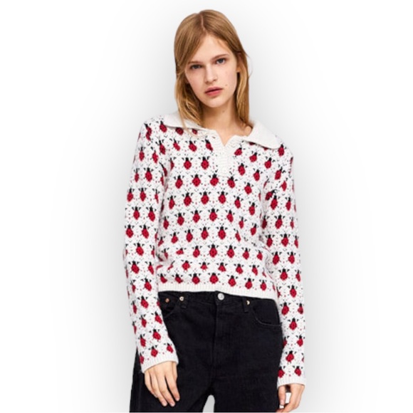 Zara Sweaters - Zara Ladybug Insect Sweater Fuzzy Knit Top Medium